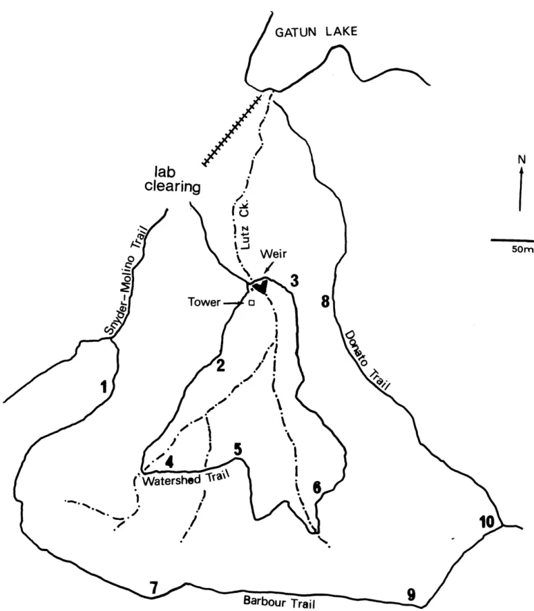 FIGURE 2.—Rough map of the Lutz catchment; numbers indicate soil sampling sites utilized since 1981