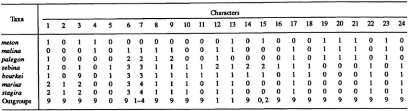 TABLE 1.—Character matrix for seven Rekoa species and for outgroup genera (labelled "Outgroups")