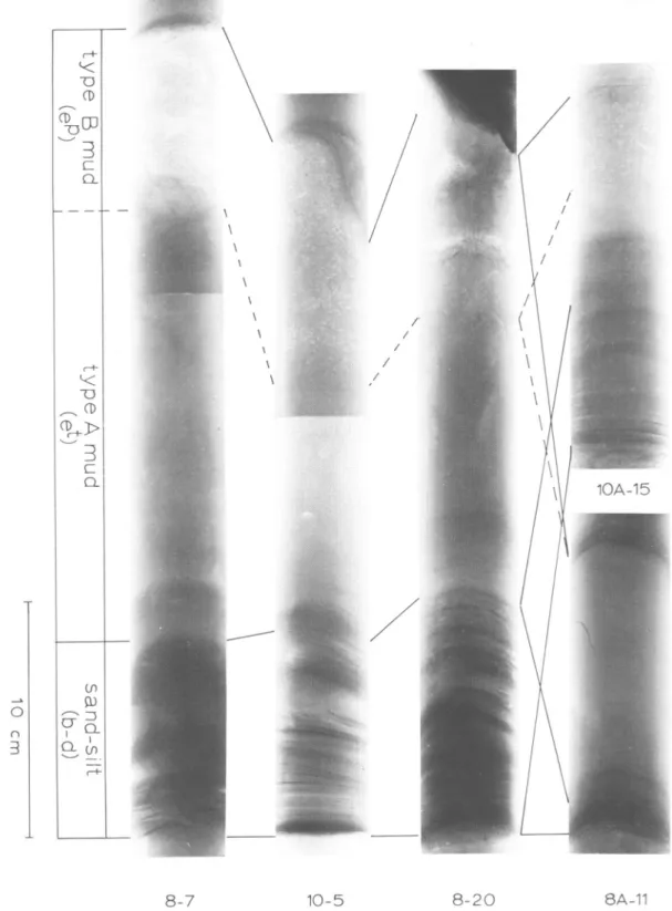 FIGURE 4.—X-radiograph prints and interpretative column of five rhythms of turbidite sand-silt layers or silt laminae, followed by largely homogeneous type A mud (e'), which in turn is followed by type B mud (e p ) exhibiting light speckling