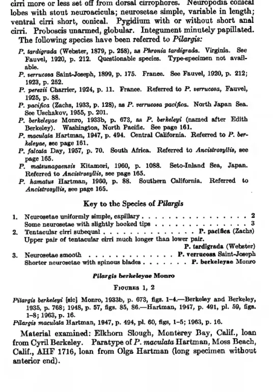 Pilargis berkeleyi [sic] Monro, 1933b, p. 673, figs. 1-4.•Berkeley and Berkeley,  1935, p