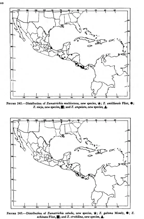 FIGURE 242.—Distribution of Zumatrichia multisetosa, new species, -^r; Z. antilliensis Flint, Z