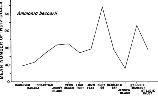 FIGURE 4.—Mean densities oi Ammonia beccarii at Indian River sampling sites. 