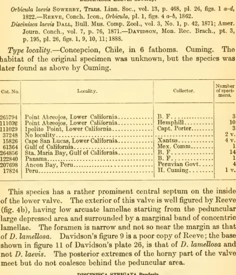 Orhicula laevis Sowerby, Trans. Linn. Soc, vol. 13, p. 468, pi. 26, figs. 1 a-d, 1822.