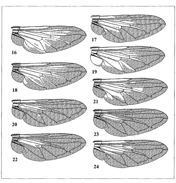 Fig. 4 (abdomen), Fig. 16 (wing), Fig. 25 (male genitalia), Map 1 