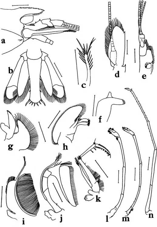 A Review Of The Systematics