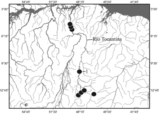 Figure 1. Archolaemus blax, 288 mm total length; MNRJ 12158, female, Brazil, Goiás, Município de Minaçu/Cavalcante, Rio Tocantins, at site of Usina Hidroelétrica Serra da Mesa (approximately 13°44 ′ S, 048°08 ′ W).