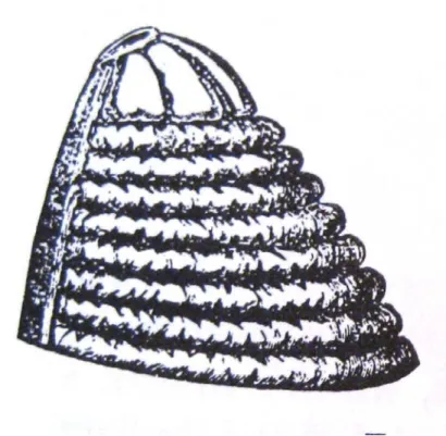 Illustration of a watch pocket at the waistband of a skirt.   
