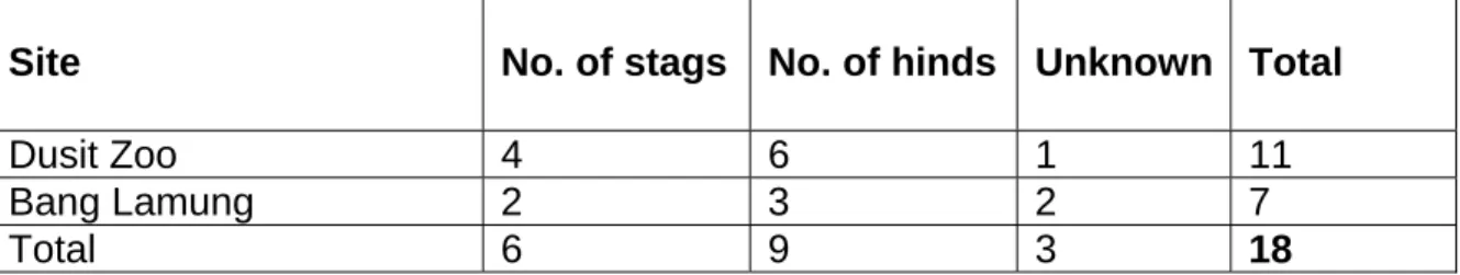 Table 6. Number of Siamensis held in two captivities (surveyed December 2004) 