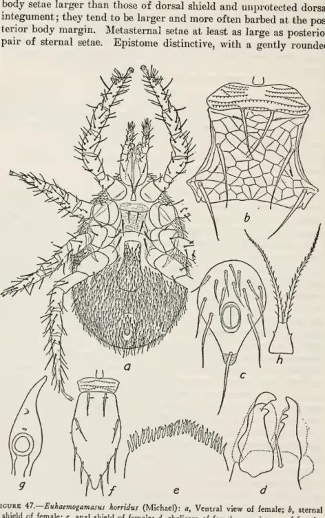 Figure A7 .—Euhaemogamasus horridus (Michael): a, Ventral view of female; b, sternal shield of female; c, anal shield of female; d, chelicera of female; e, epistome of female;