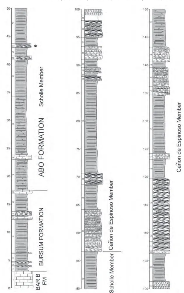 fiGUre 5. measured stratigraphic section of the abo formation at red Gap in the southern fra Cristobal mountains