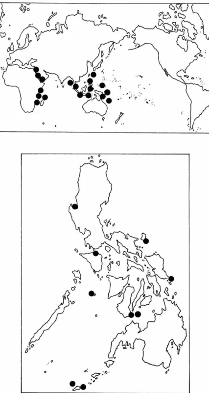 FIGURE 4.—Cymodocea rotundata: top, world distribution; bottom, Philippine distribu- distribu-tion