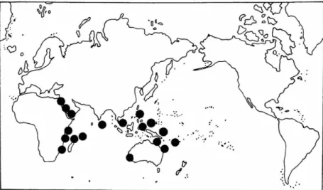 FIGURE 6.—Cymodocea serrulata: top, world distribution; bottom, Philippine distribu- distribu-tion