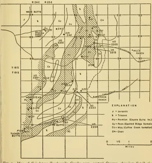 Fig. i. — Map of Grindstone-Twelvemile Creeks area, central Oregon, showing distribution Permian rocks (oblique lines) and localities (numbers) from which brachiopods were taken.