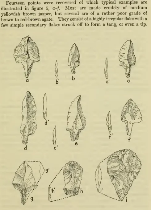 Figure 5. — Flaked stone weapon points.