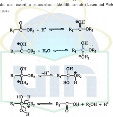 Gambar 2.5 Mekanisme Reaksi Hidrolisis pada Ester 