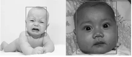 Fig. 3 shows ASM search on crying face, while Fig 4 shows