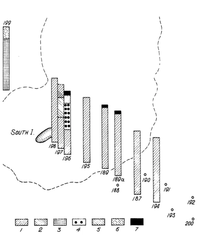 Figure  9.  Location of stations and species ratios in phytocoenoses at African Banks (South Island)
