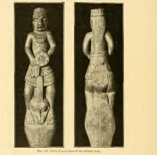 Fig. 117. Curved pot^t placed on salmon trap.