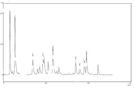 Gambar 6. Kromatogram Sampel GF40 Keterangan : Kondisi analisa sampel gaplek sama dengan kondisi yang digunakan pada Gambar 1