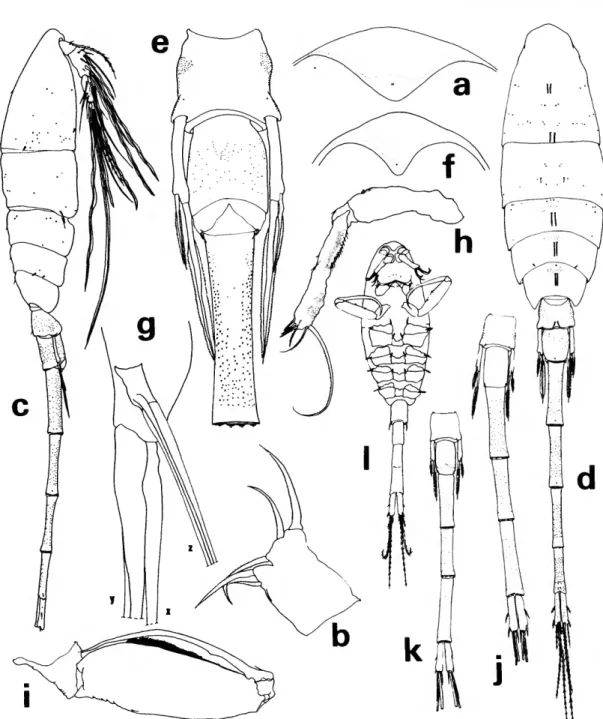 FIGURE 9.—Lubbockia wihonae Heron and Damkaer, female: a, rostrum, ventral (E); b, maxilla 1, right (F)