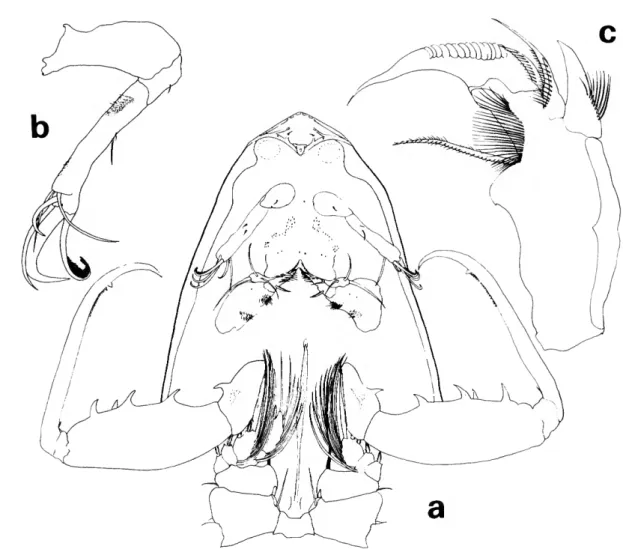 FIGURE 10.—Lubbockia aculeata Giesbrecht, female: a, cephalosome and somite of leg 1, ventral (C); b, antenna 2, left (E); c, mandible, left (G).