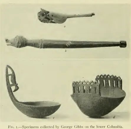 Fig. I. — Specimens collected by George Gibbs on the lower Columliia.