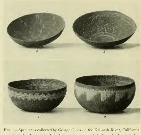 Fig. 4. — Specimens collected by George Gibbs on the Klamath River, California.