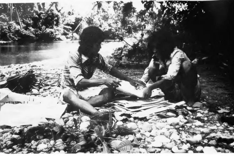 FIGURE 1.—Yohanis Loliaro and Joni Tumbia preparing pressed plant vouchers on the banks of the Loleba (or 