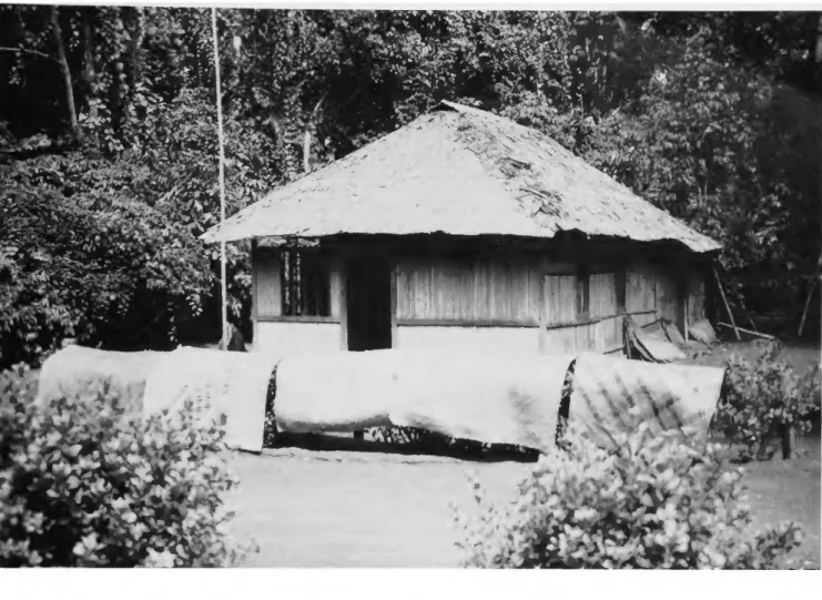 FIGURE 8.—Village house at Pasir Putih, showing nipa palm roof, &#34;lawn&#34; completely cleared of vegetation,  flagpole (required for displaying the flag at certain government holidays), and &#34;fence&#34; of o balontas (Pluchea  indica Less.)