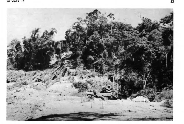 FIGURE 24.—Dense forest being cleared for a mining road near Manohilahy. Microgale dobsoni was abundant on the steep slopes.