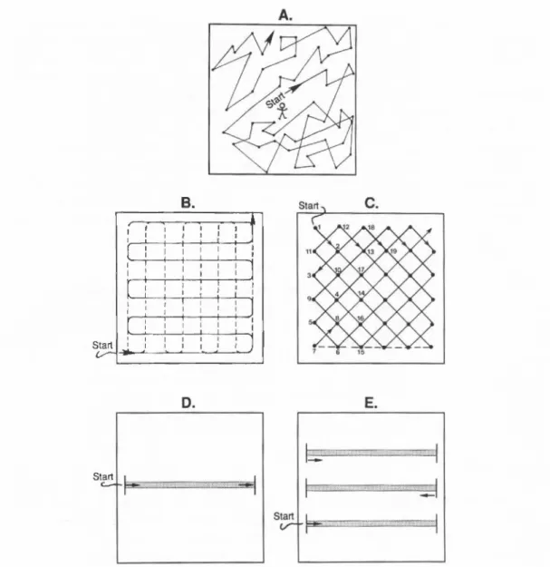 Figure 9. Experimental designs for visual encounter surveys. A. Randomized walk design