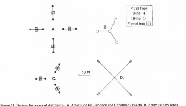 Figure 11. Designs for arrays of drift fences. A. Array used by Campbell and Christman (1982b)