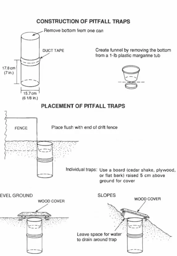 Figure 12. Construction of pitfall traps from two number-10 tin cans (reprinted with permission from Com and Bury 1990)