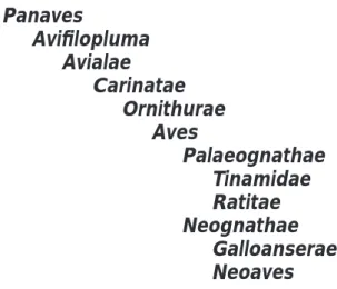Figure 3. Indented, unranked, summary taxonomy of select clades of bird-line archosaurs.