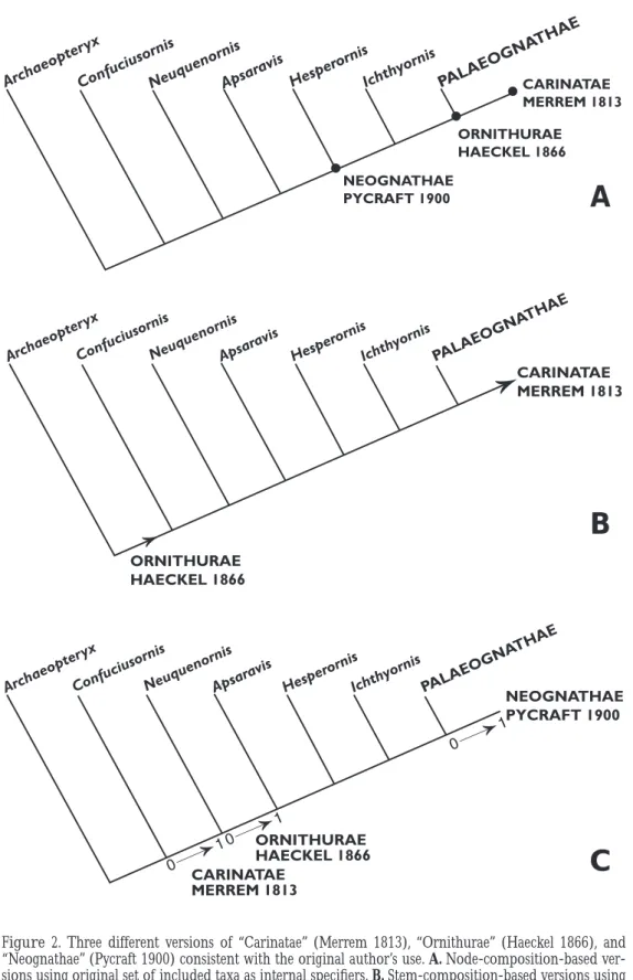 Figure 2. Three different versions of “Carinatae” (Merrem 1813), “Ornithurae” (Haeckel 1866), and