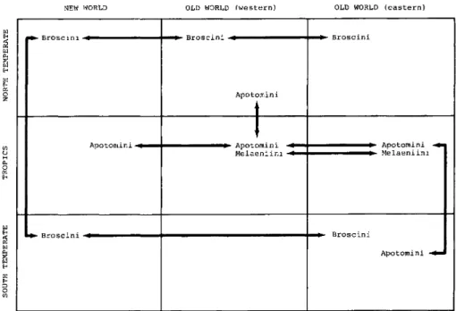 Figure 6. Graphic depiction of spatial distribution of primitive carabid tribes centered around the  melaenoids