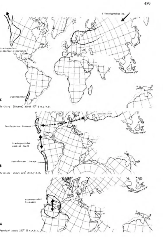 Figure 9. Hypothetical time sequence distribution maps of Trachypachidae from Permian based on  extant forms