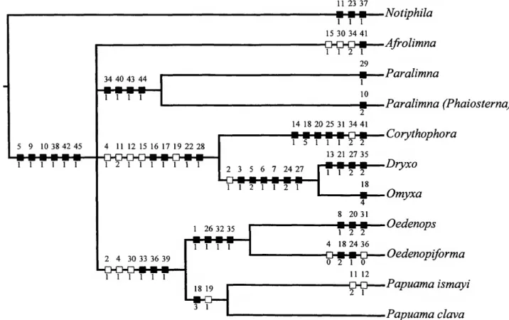 FIGURE 154.—Cladogram depicting hypothetical cladistic relationships among genera of Dryxini (55 steps, con- con-sistency index 0.92, retention index 0.92) (open squares=ambiguous synapomorphies and/or autapomorphies;
