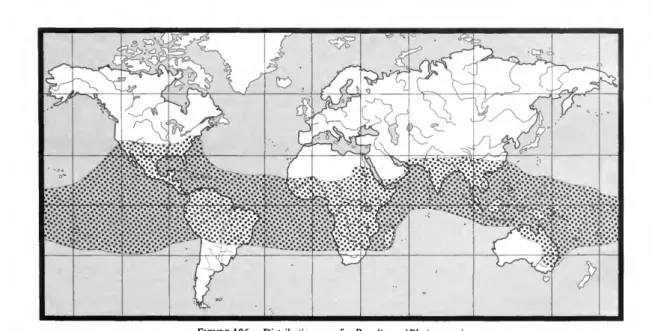 FIGURE 106.—Distribution map for Paralimna (Phaiosterna).