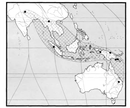 FIGURE 143.—Distribution map for Papuama (hatched and dots).
