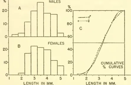 Figure 27. — Size distribution of Argulus japonicus from Erh Hai.