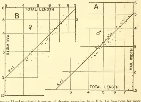 Figure 28. — Length-width curves of Jrgulus japontcus from Erh Hai (o = locus for more than one point.