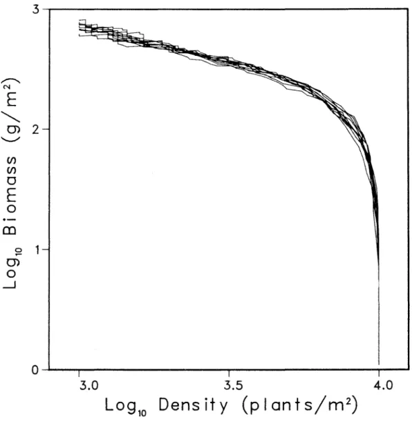 Figure  3.2.  Variations  in  the  self-thinning  trajectory  due  to  stochastic  factors  in  the  simulation  model