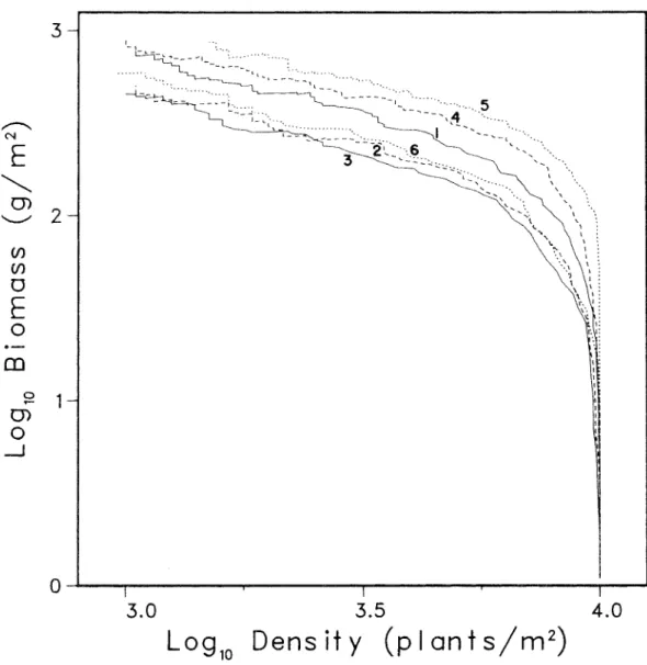 Figure  3.5.  Effect  of  the  competition  algorithm  on  the  self-thinning  line.  Curves  for  six  simulations  are  are  marked  with  competition  algorithm  identification  numbers  (Table  3.1)