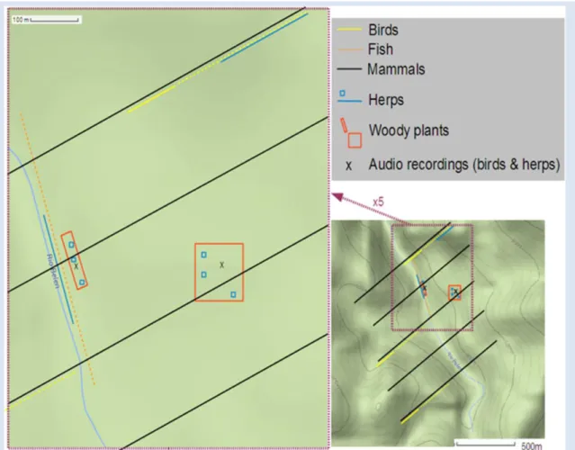 Figure 2.2. An example of a hypothetical sampling site including the spatial arrangement of the field  procedures for all the taxa