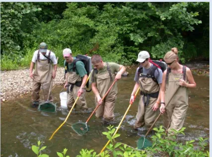 Figure 4.2. An example of a field crew using backpack electrofishing  and  submerged  nets  to  stun  and  collect  fish