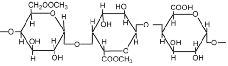 Gambar 3.  Struktur kimia pektin (Hassan et al., 2017) 