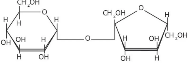 Gambar 4.  Struktur kimia sukrosa (Lehninger, 2000) 