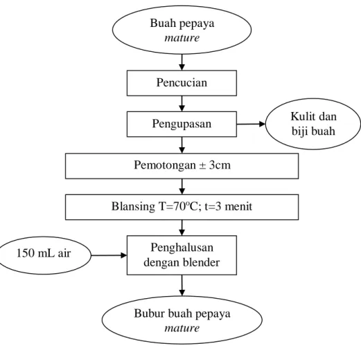Gambar 5.  Diagram alir pembuatan bubur pepaya mature (Septiani dkk., 2013)  yang dimodifikasi 