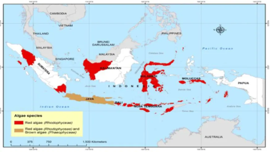 Gambar 1.1 Lokasi Persebaran Red Algae dan Brown Algae di Indonesia (Mulyati 